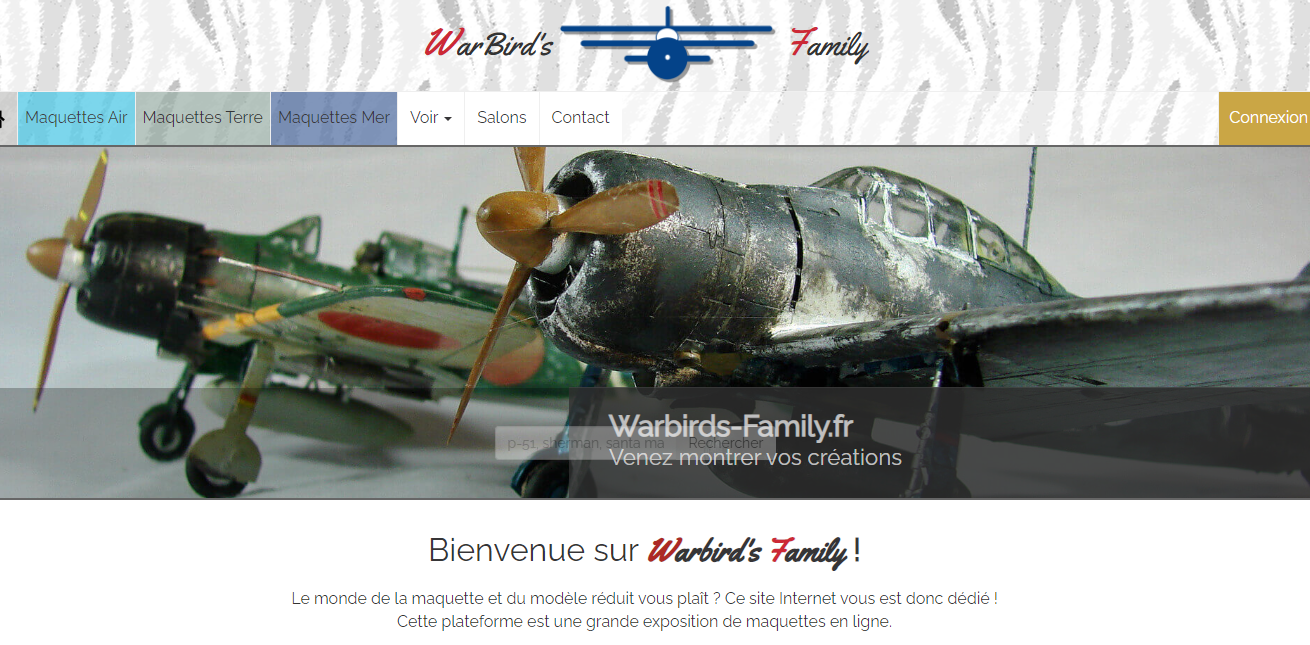 Warbirds site